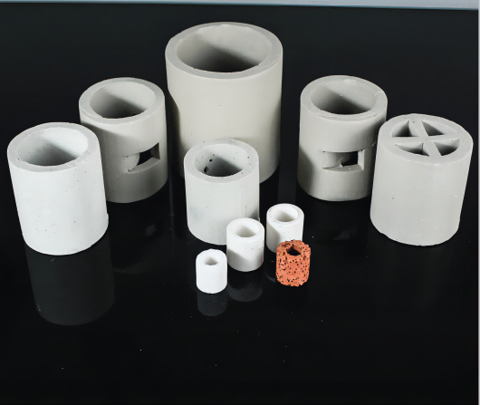 High performance ceramic pall ring